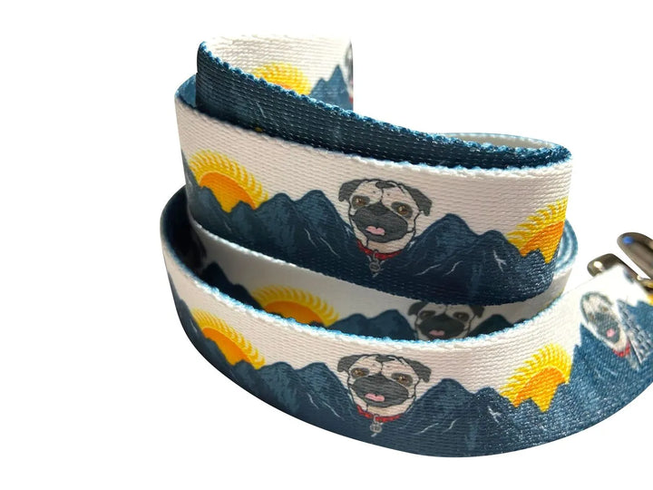 Sun Pug Leash image 1