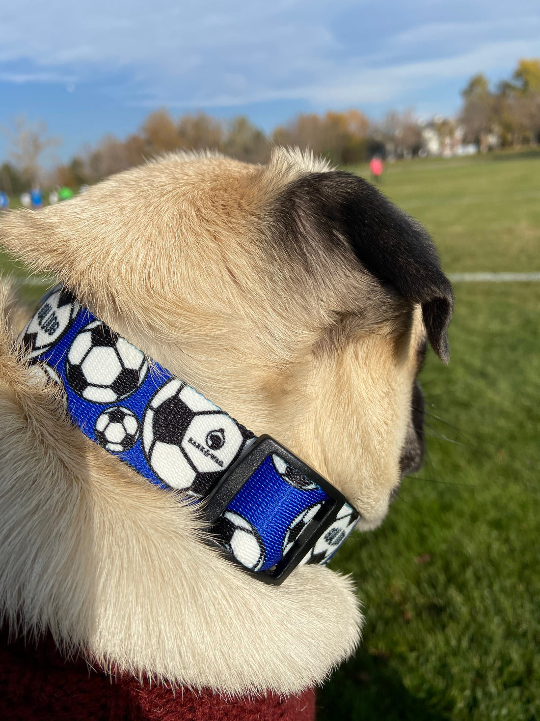 Goal Dog Blue Soccer Collar