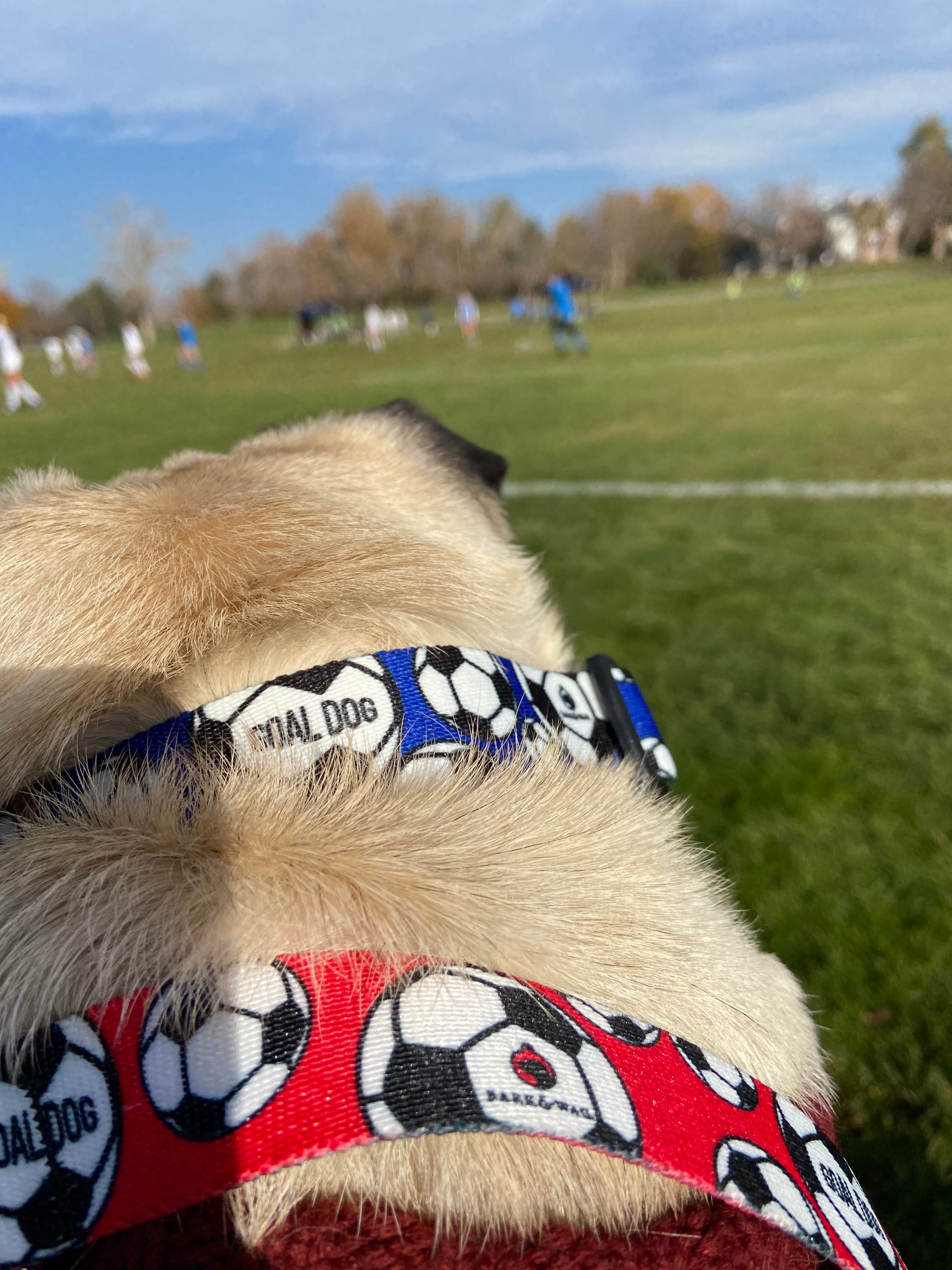 Goal Dog Red Soccer Leash