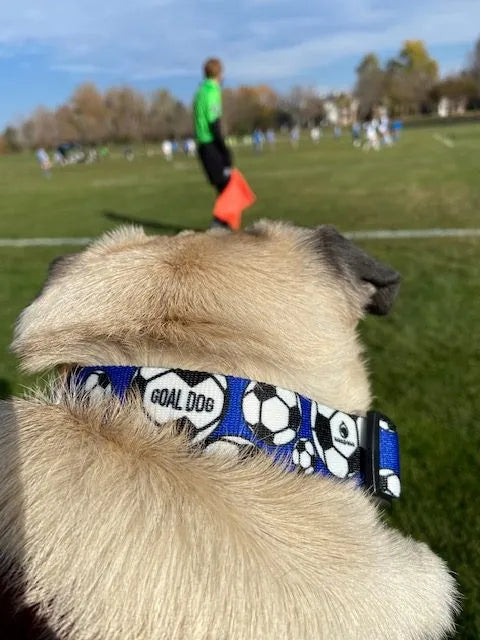 Goal Dog Blue Soccer Collar image 2