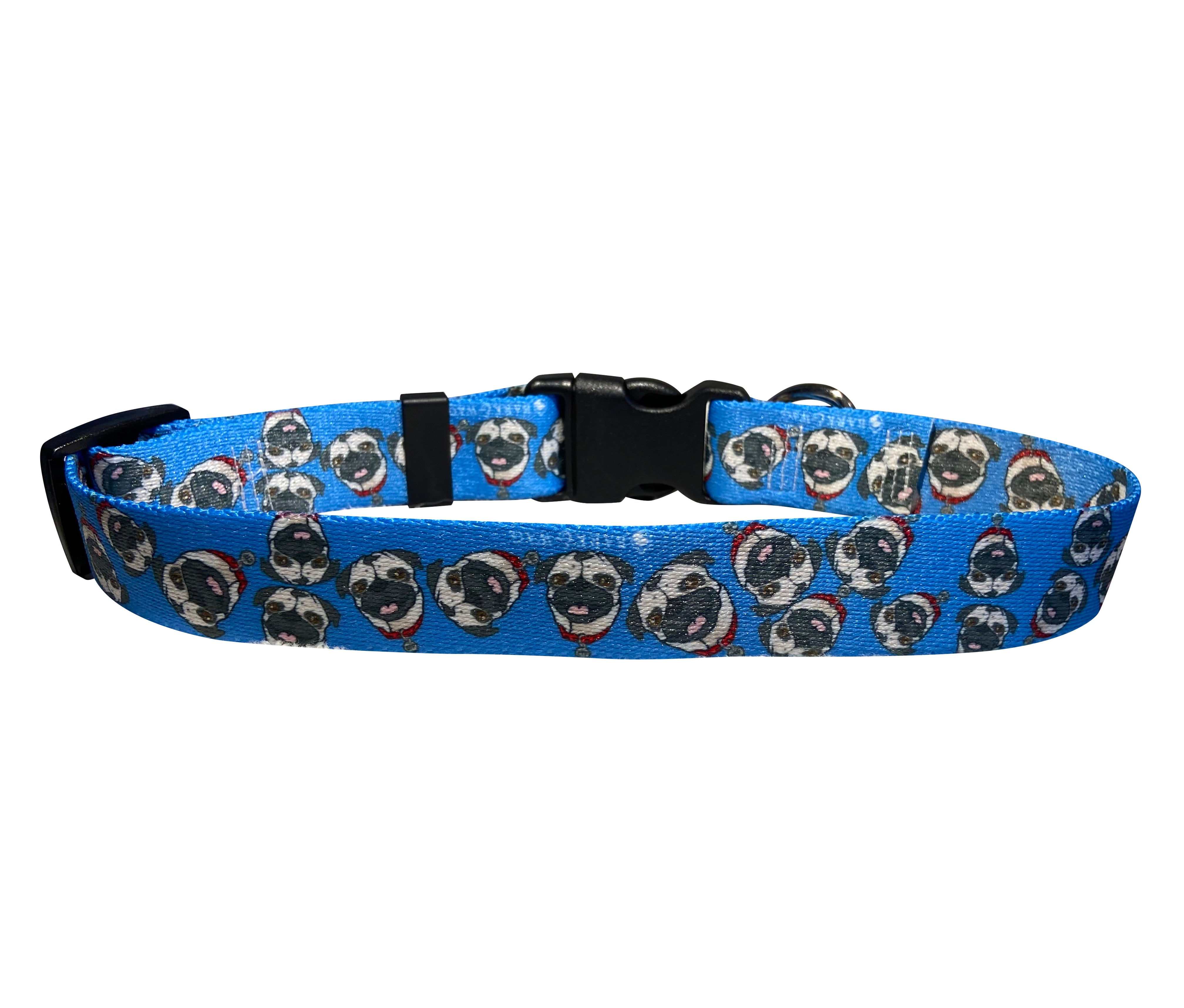 Chuck the Pug Blue Collar image 4