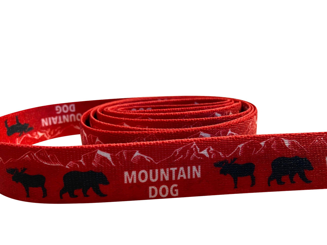 Mountain Dog Bear & Moose Leash image 1