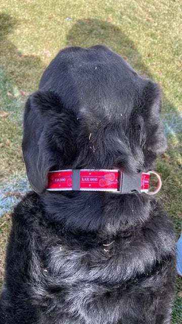 Lacrosse Dog Red Collar image 1