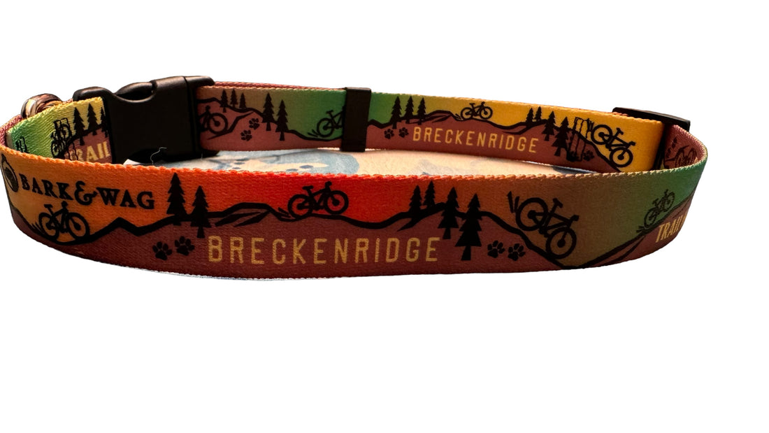 Trail Hound Breckenridge Collar image 6