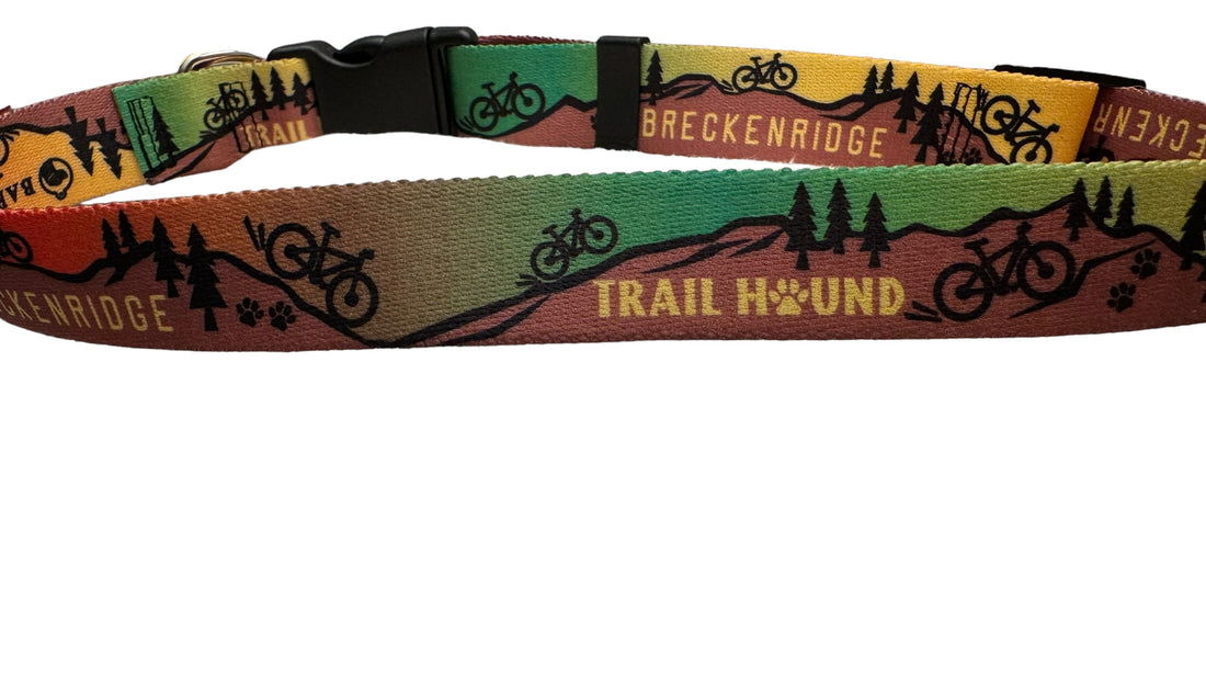 Trail Hound Breckenridge Collar image 8