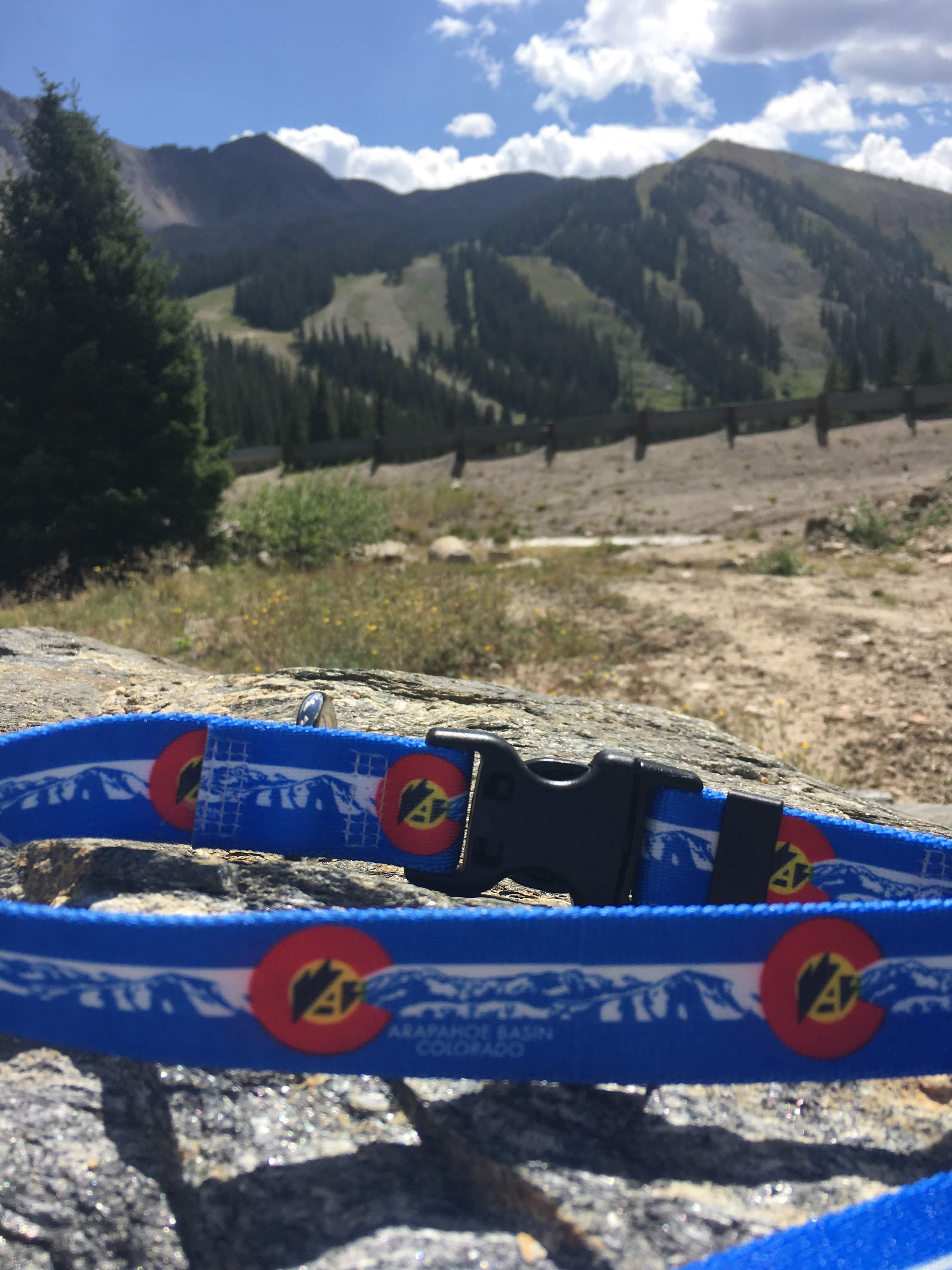 Custom Business Dog Collar and Leashes image 3