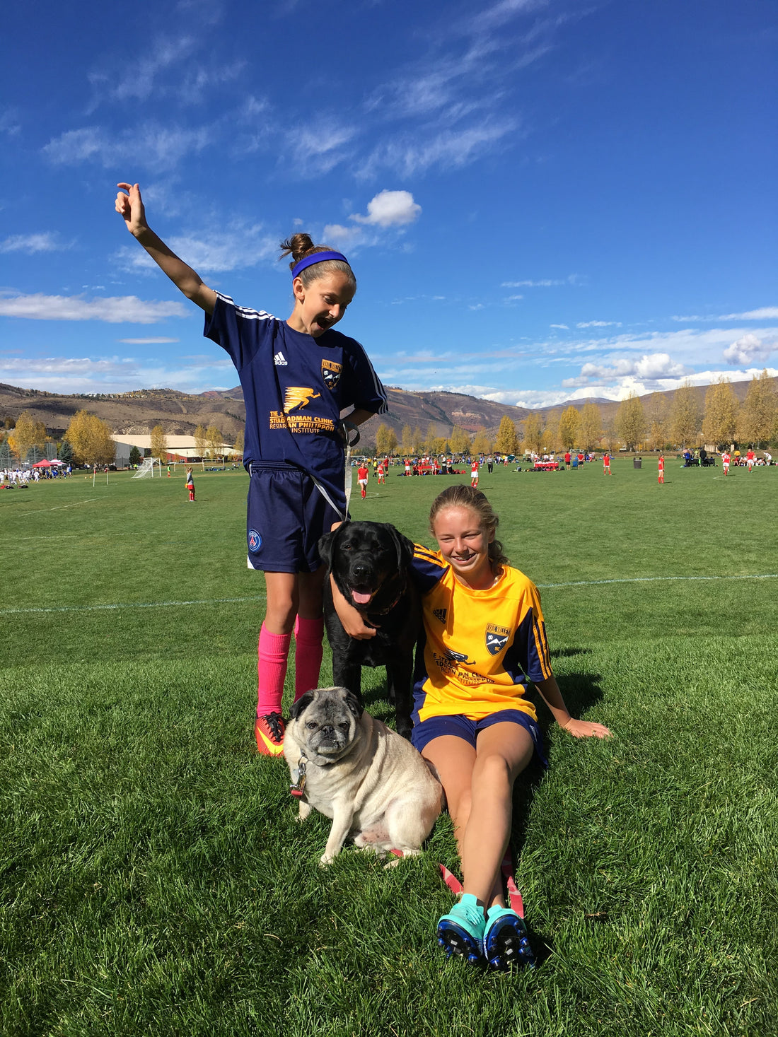 Goal Dog Blue Soccer Collar