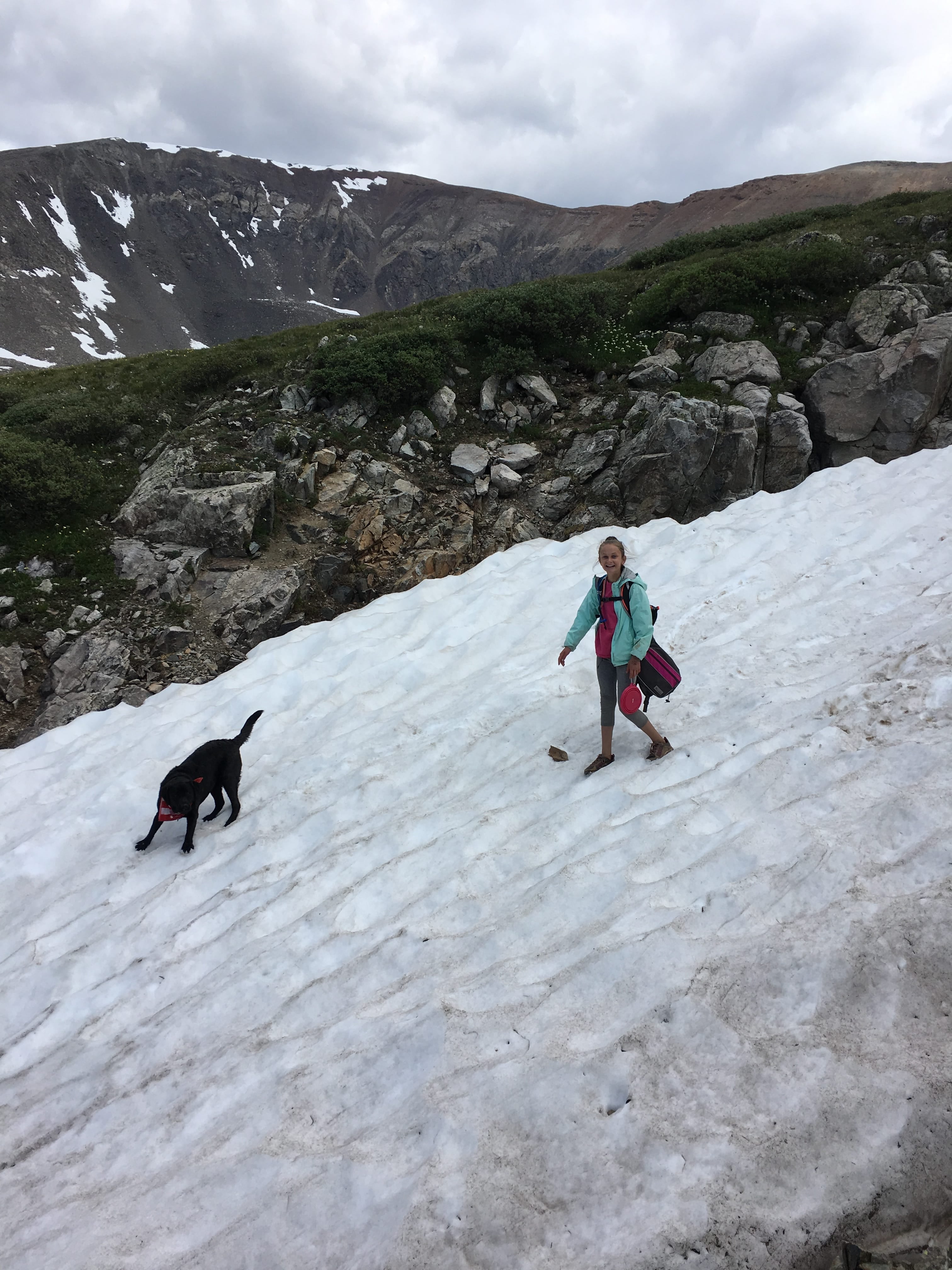 Trail Hound Dog Leash