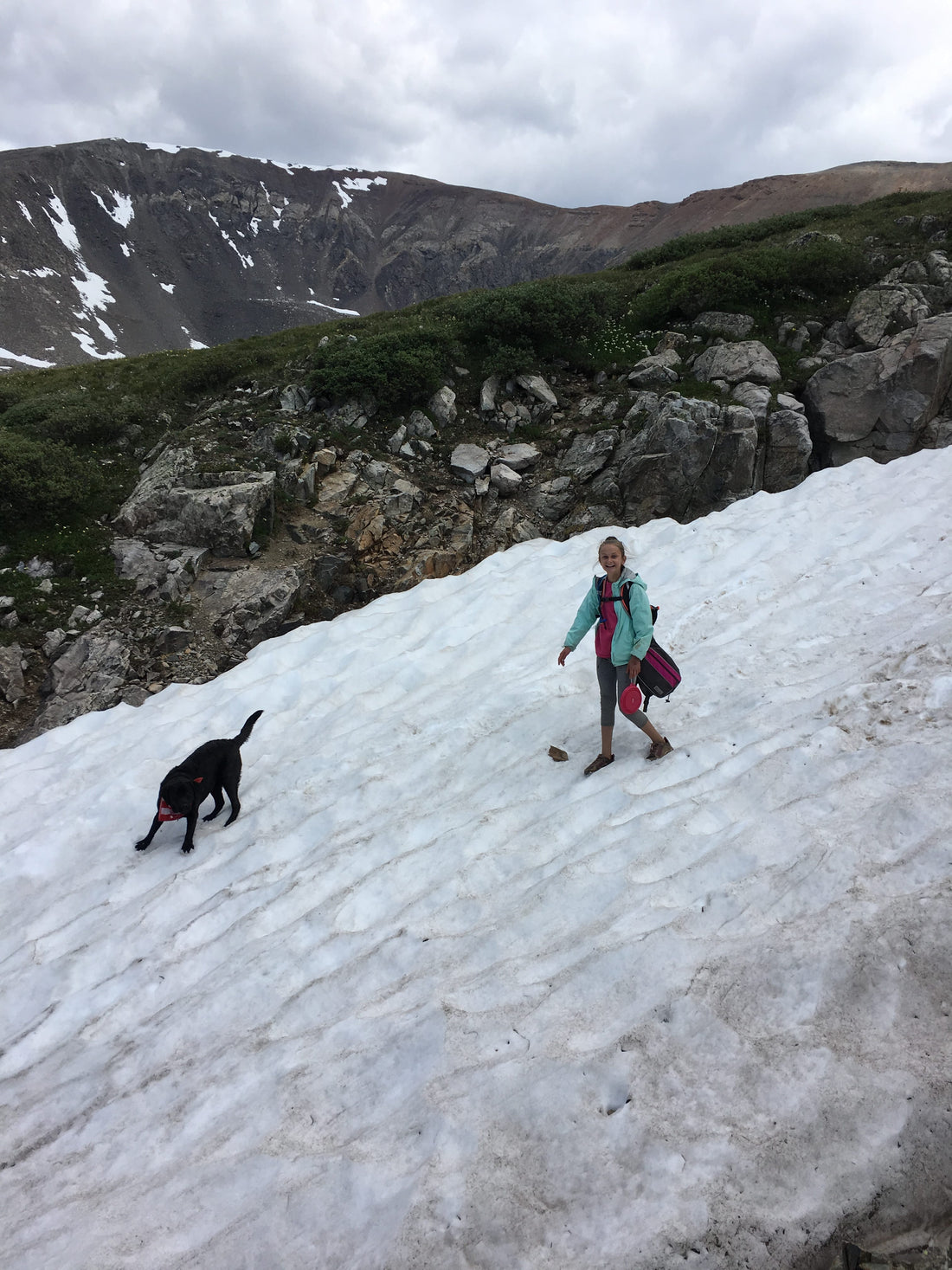 Trail Hound Dog Leash