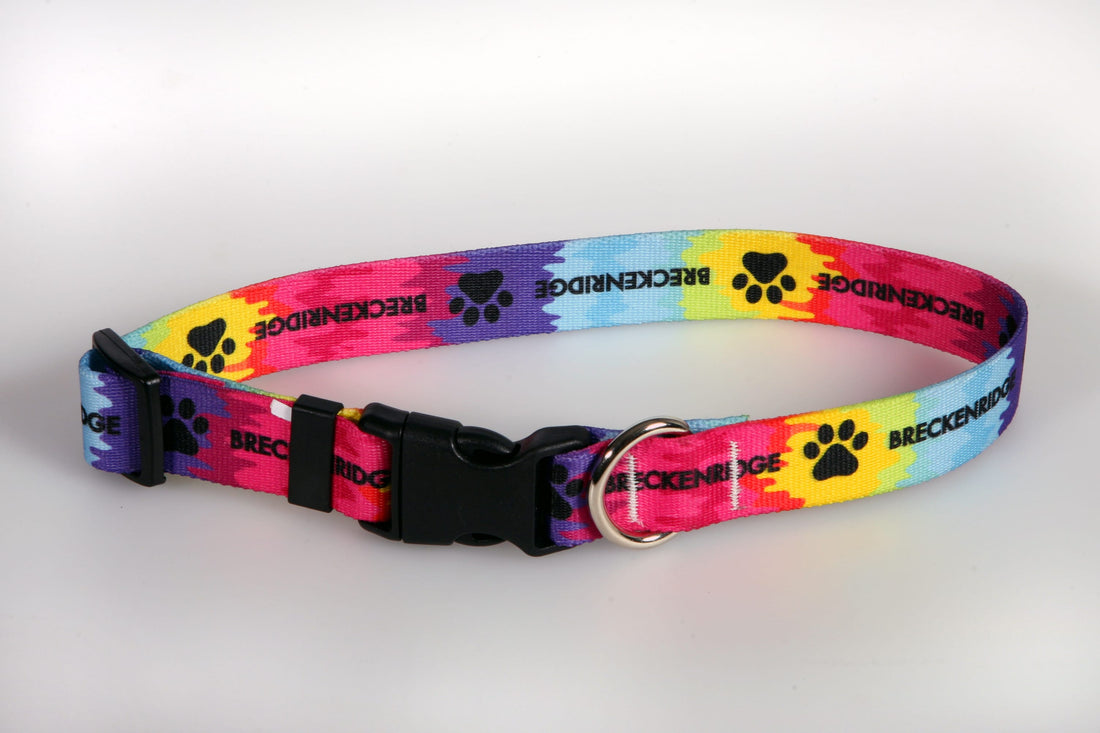 Tie Dye Paw Dog Collar