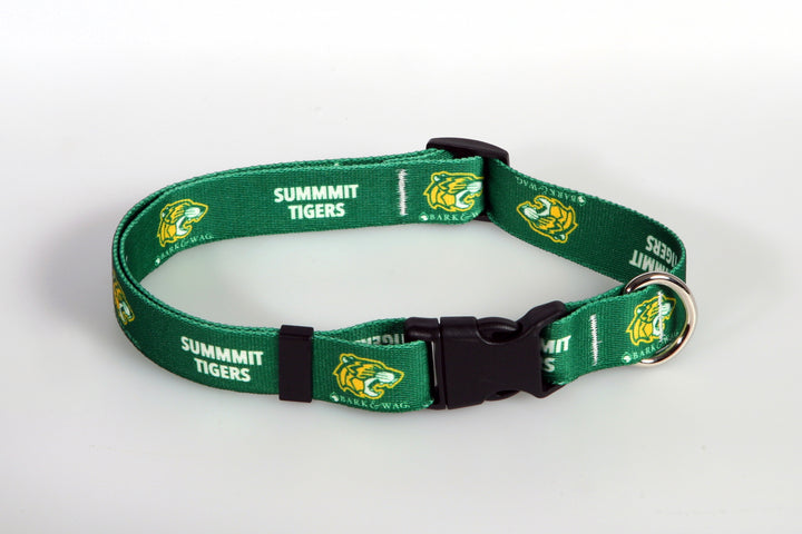 Custom Dog Collar and Leash for school fundraiser image 0