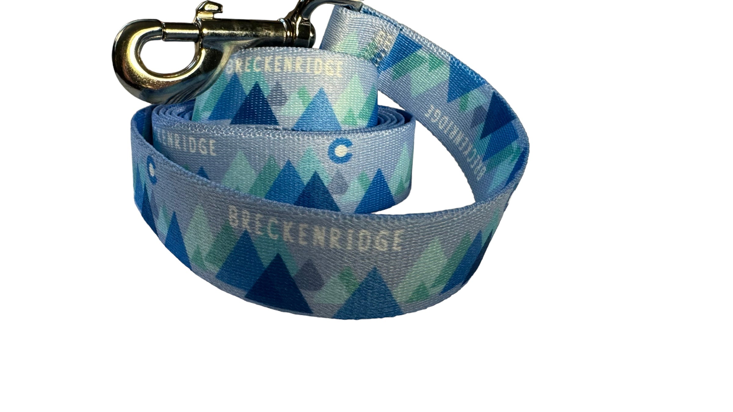 Modern Mountain Blue Breckenridge Leash image 0