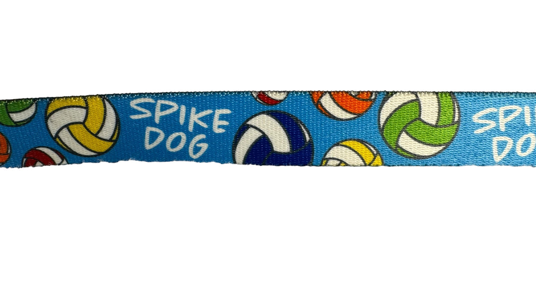 Spike Dog Volleyball Leash image 2