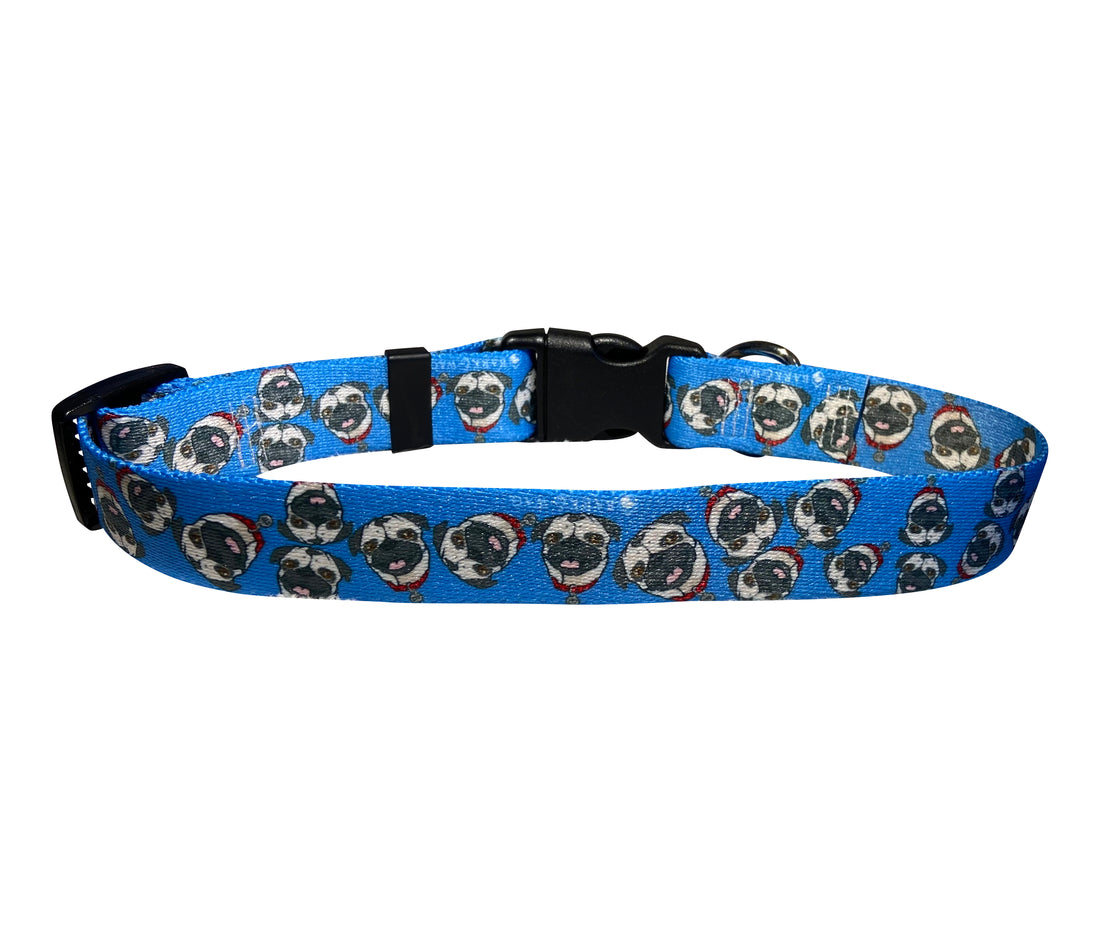Chuck the Pug Blue Collar image 5