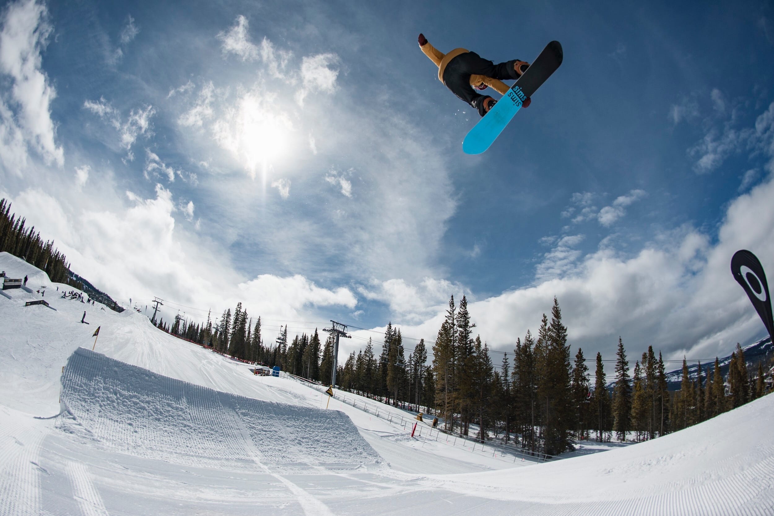 Powder Dog Snowboard Leash