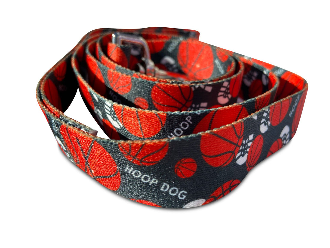 Hoop Dog Basketball Leash image 0