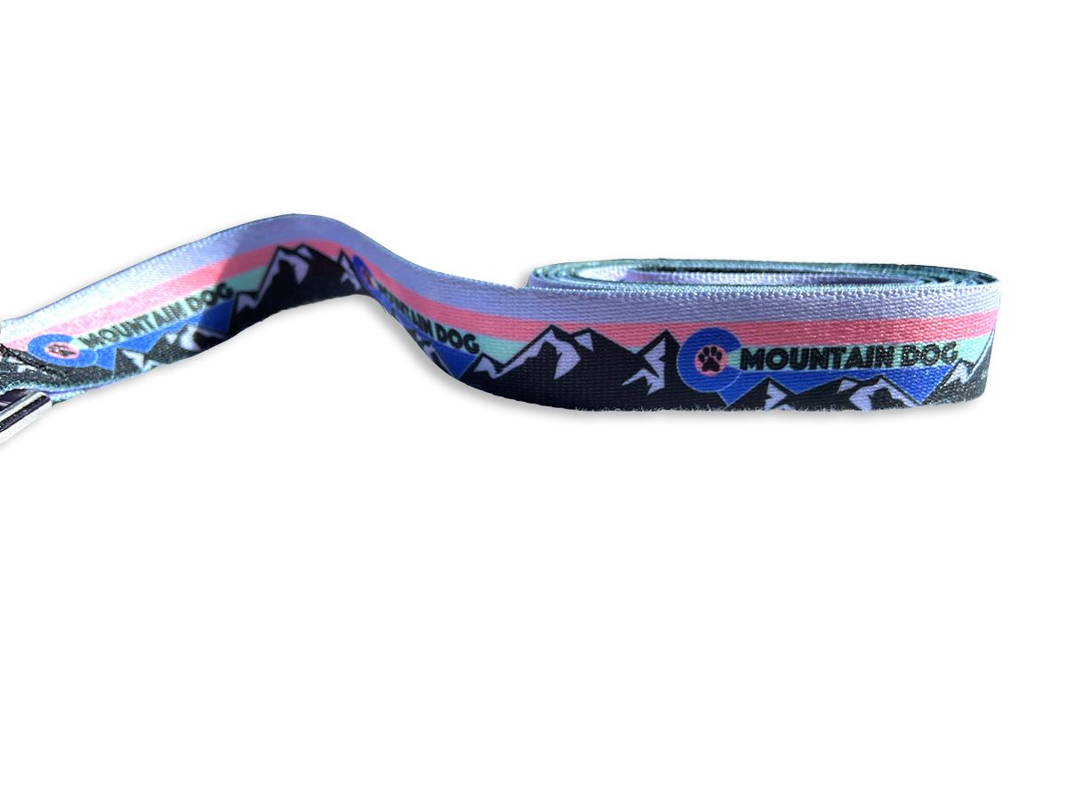 Mountain Dog  Pink Leash image 1