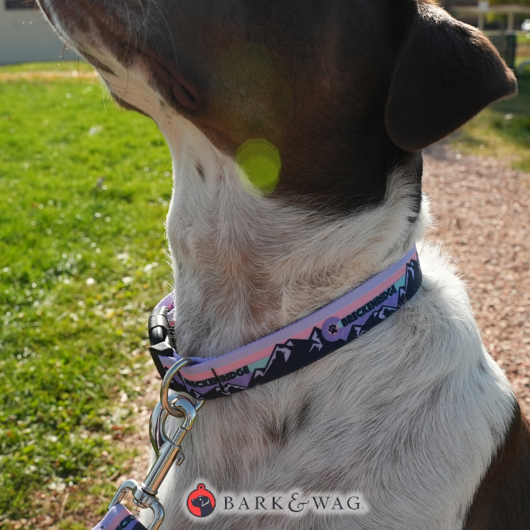 Breckenridge Pink Collar image 1