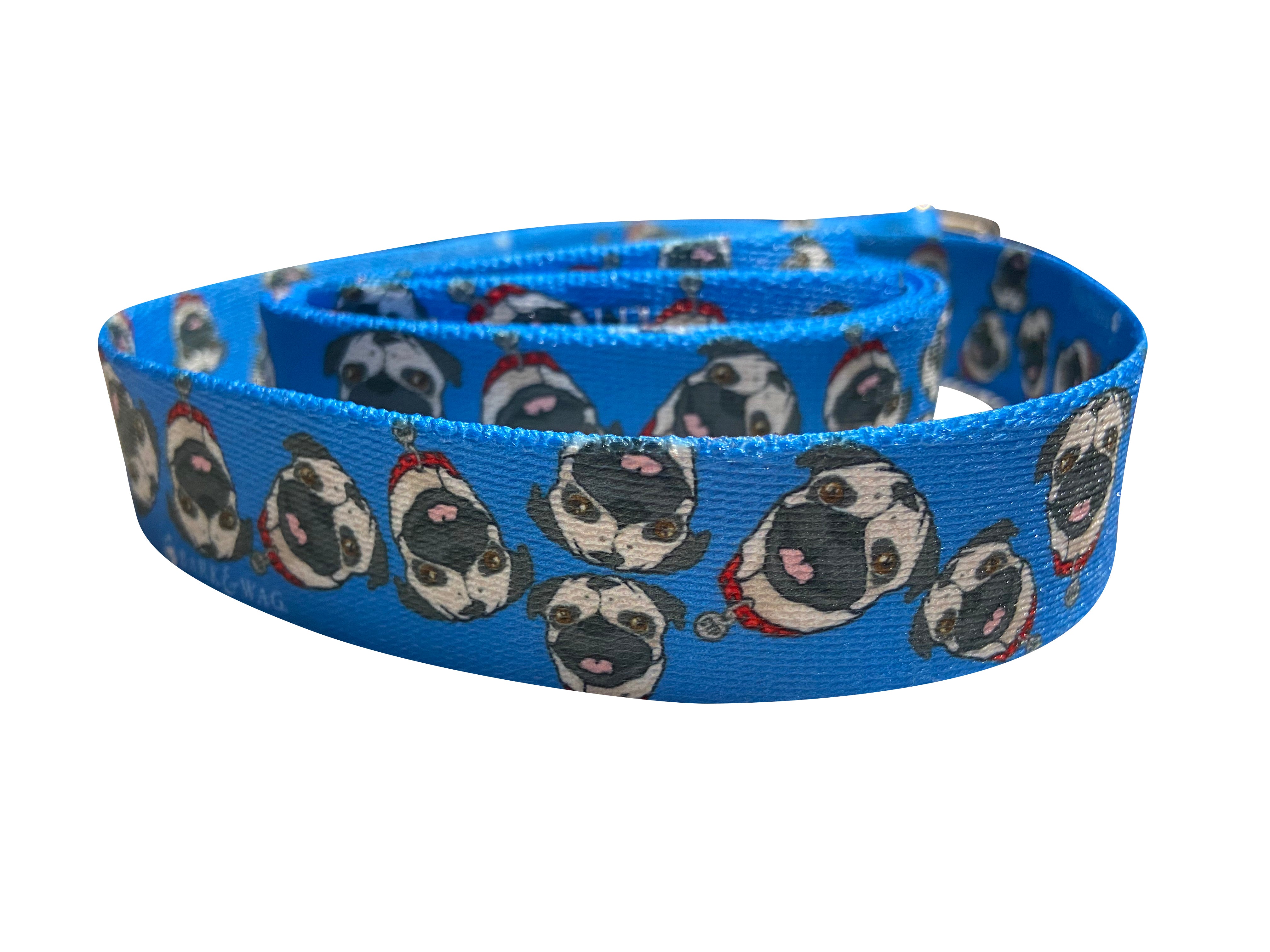 Chuck The Pug Blue Leash image 1