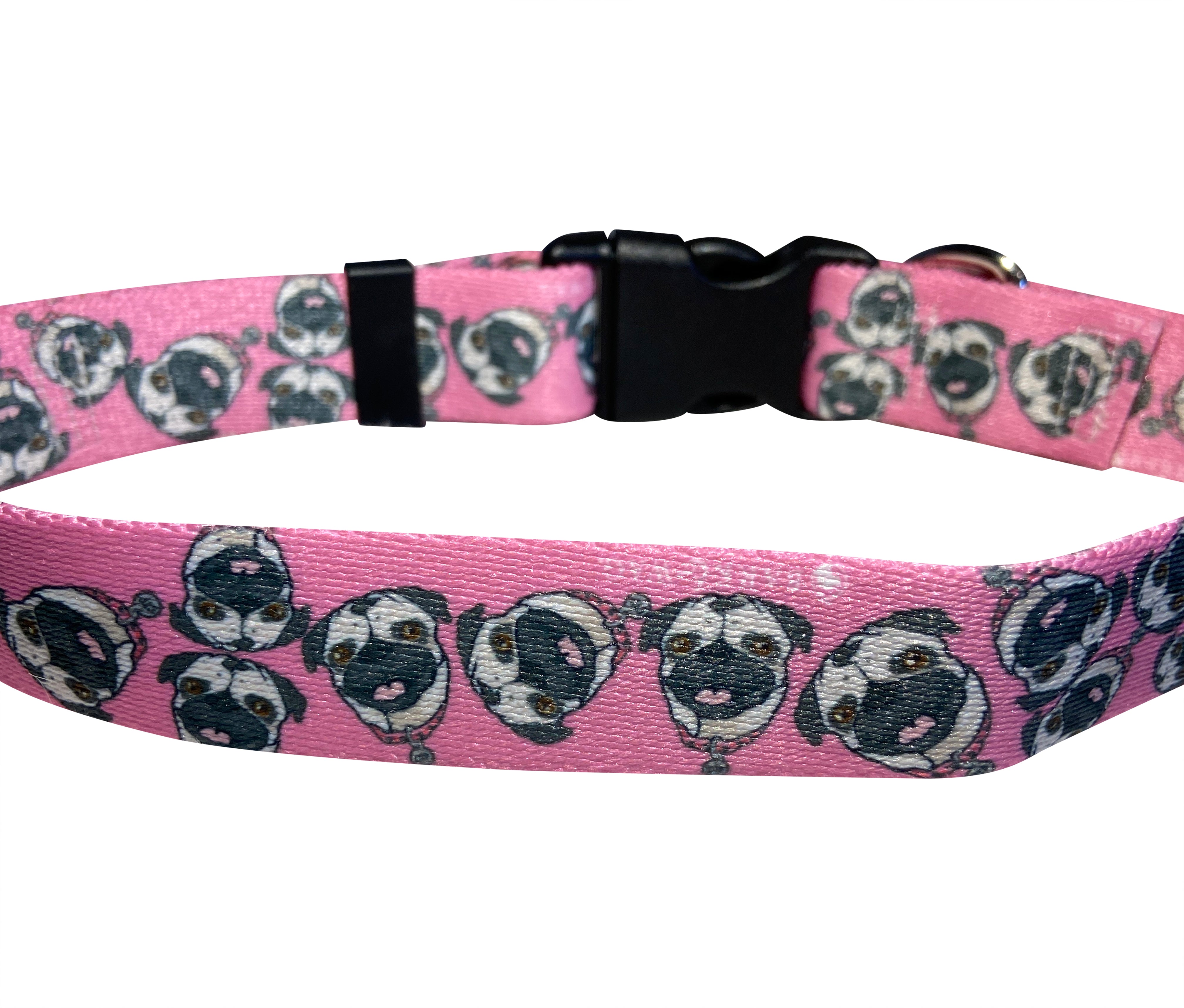 Chuck the Pug Pink Collar image 5