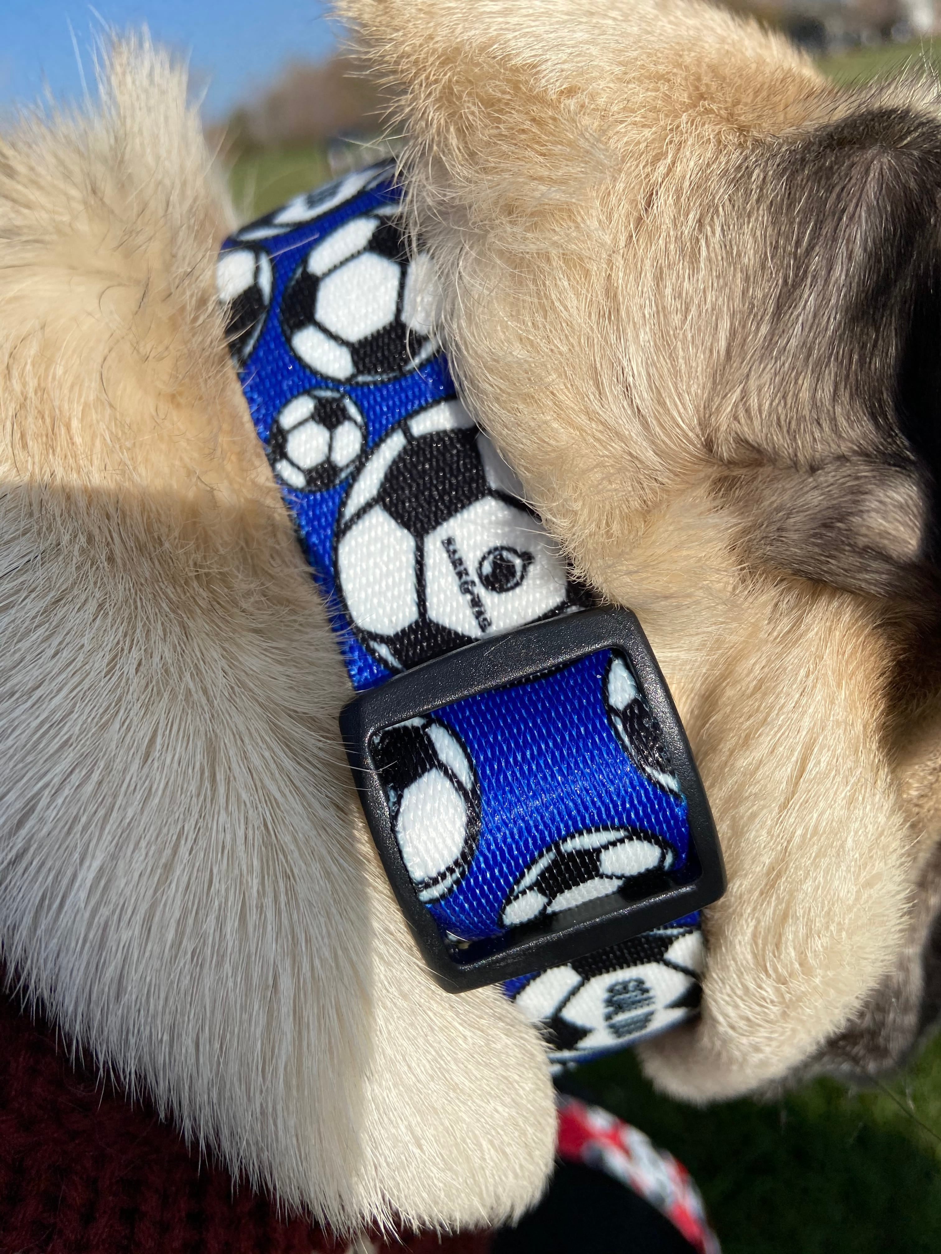 Goal Dog Blue Soccer Collar