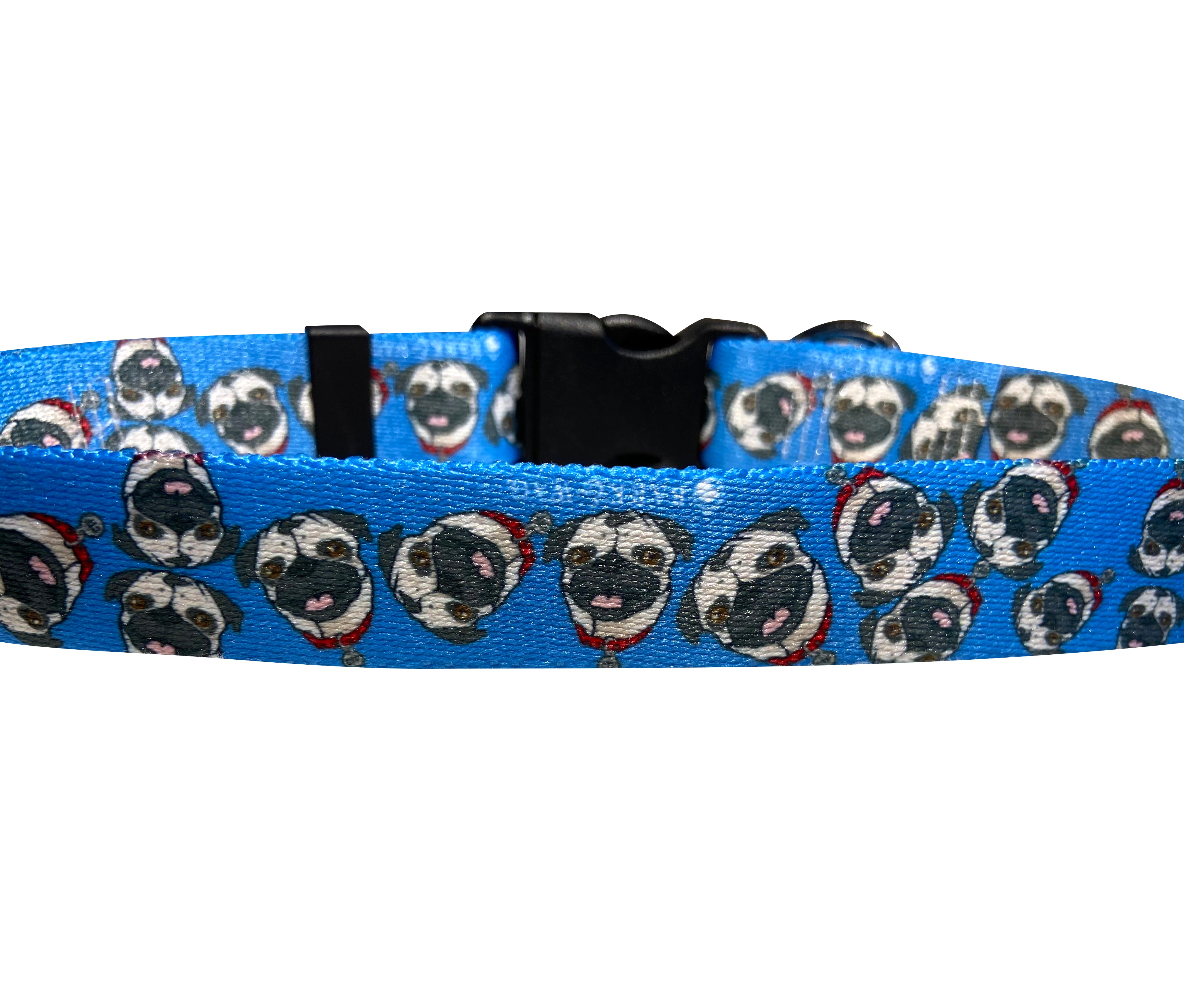 Chuck the Pug Blue Collar image 3