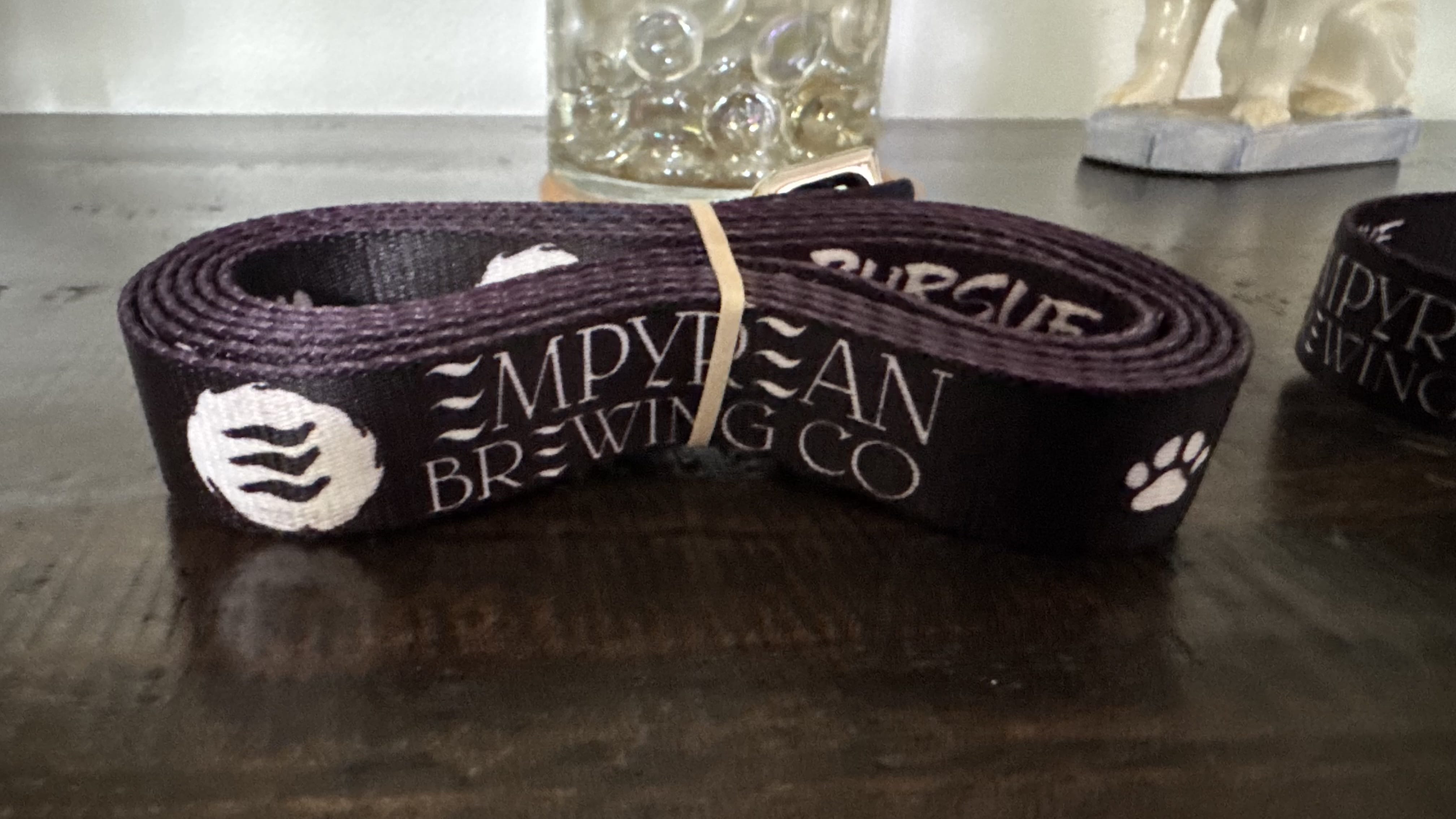 Custom Logo Business Dog Collar and Leashes