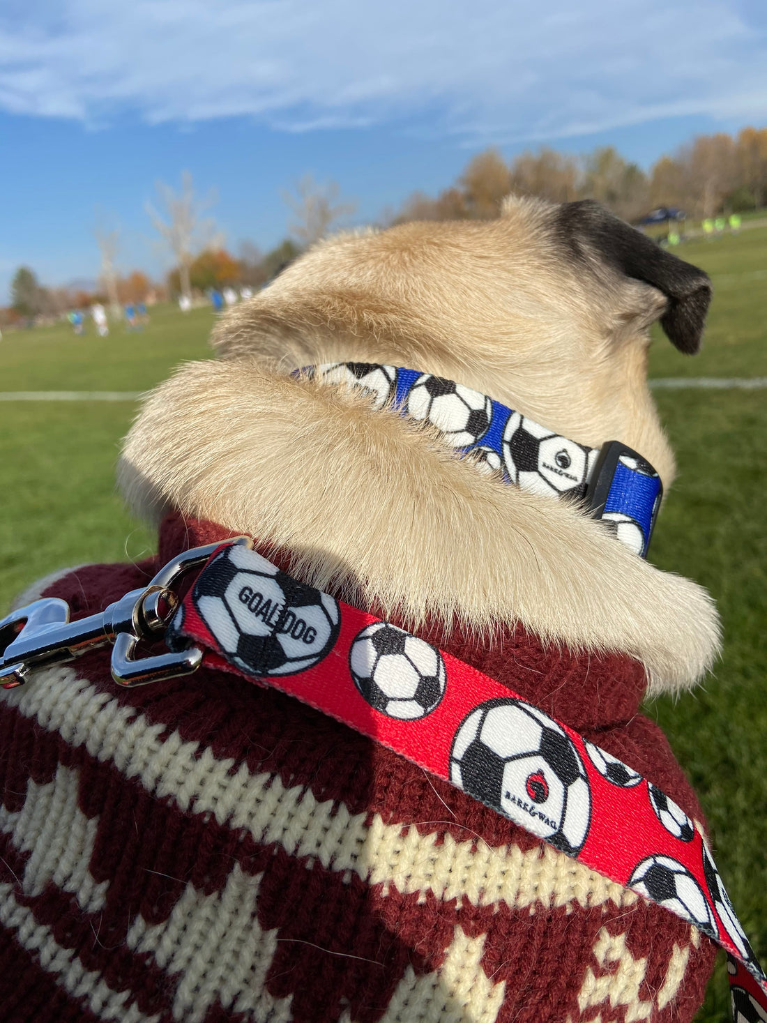Goal Dog Red Soccer Leash