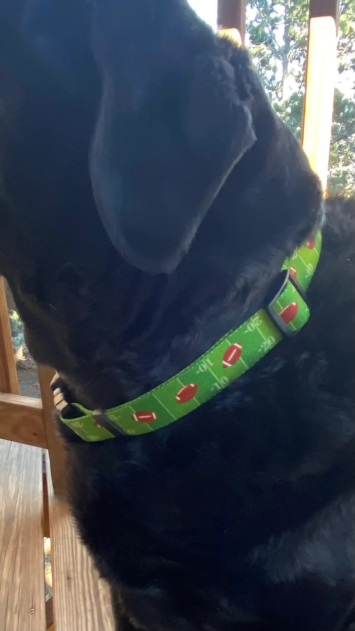 Touchdown Dog Football Collar image 1