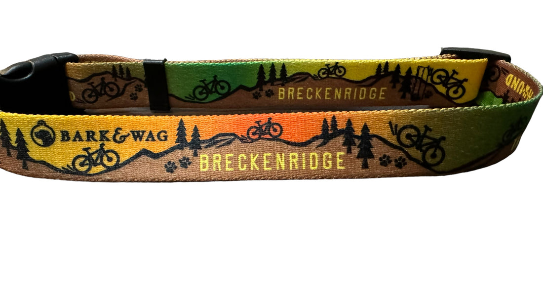 Trail Hound Breckenridge Collar image 10