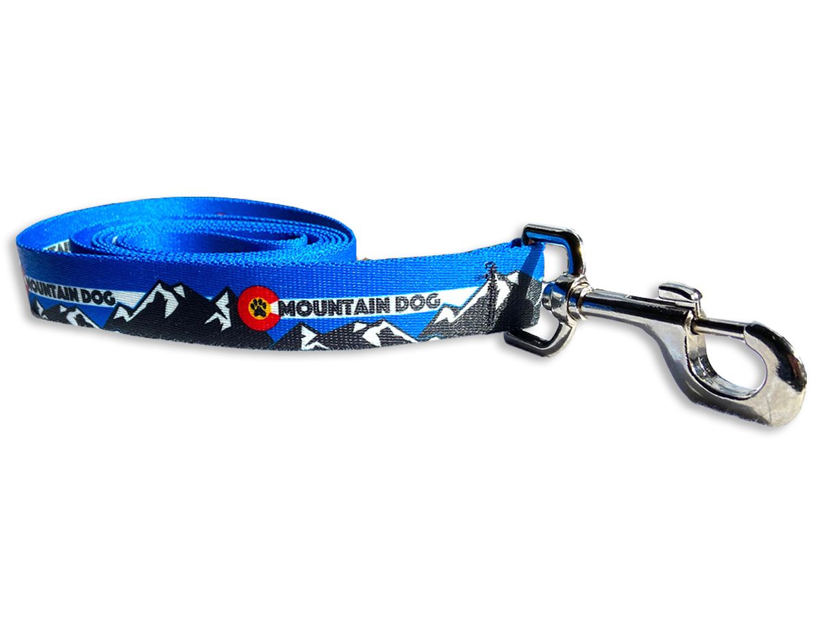 Mountain Dog  Blue Leash image 0