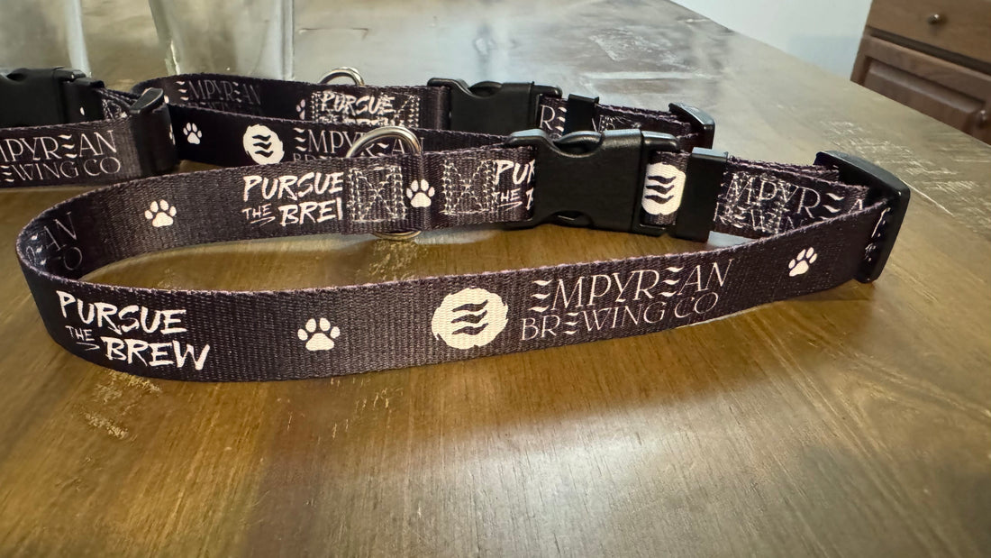 Custom Logo Business Dog Collar and Leashes