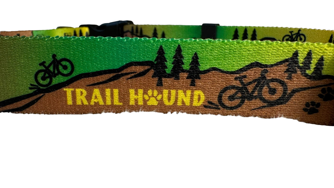 Trail Hound Breckenridge Collar image 3