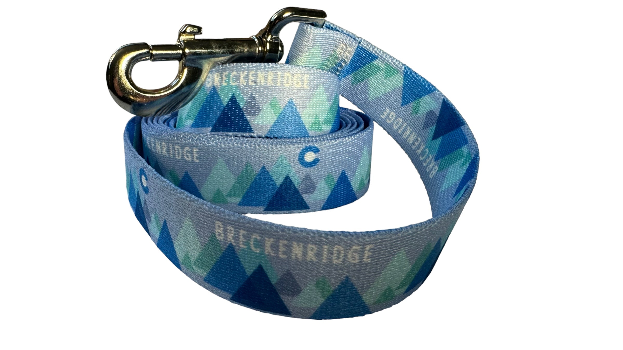 Modern Mountain Blue Breckenridge Leash image 2