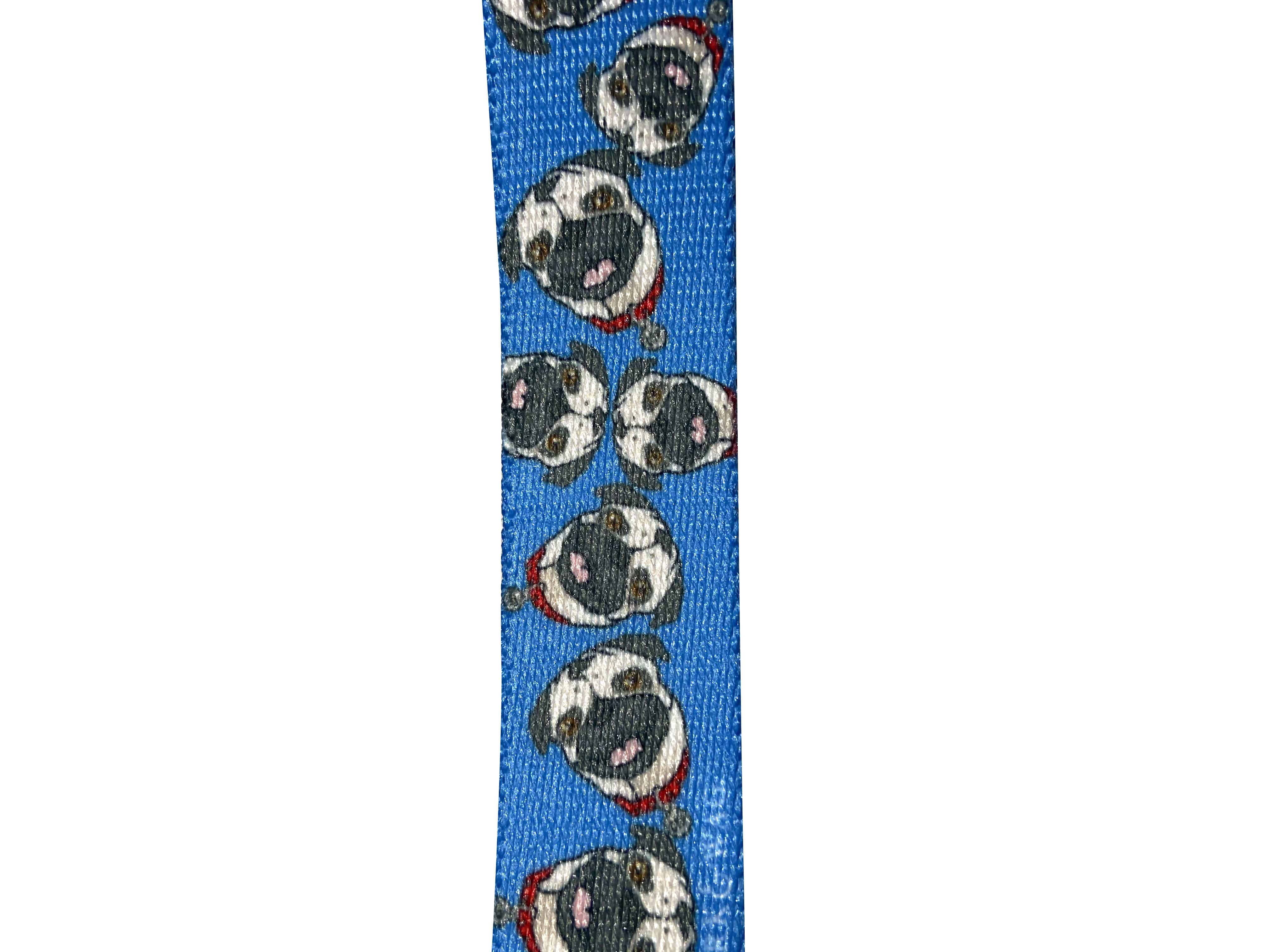 Chuck The Pug Blue Leash