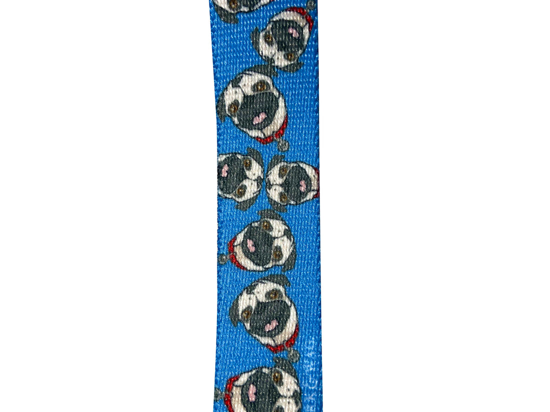 Chuck The Pug Blue Leash
