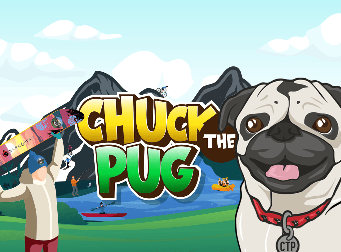 Chuck the Pug Mountain Dog Leash