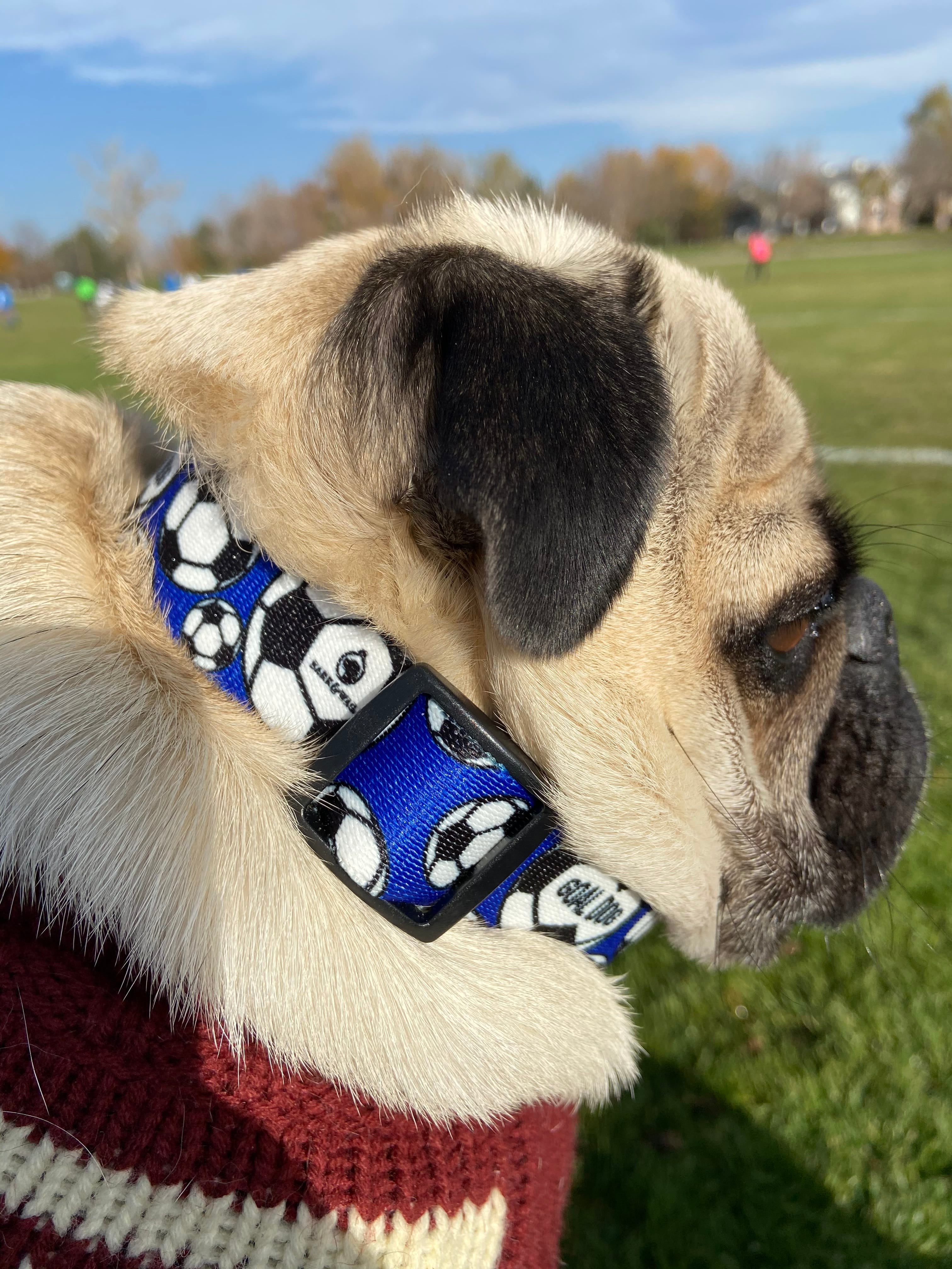Goal Dog Blue Soccer Collar