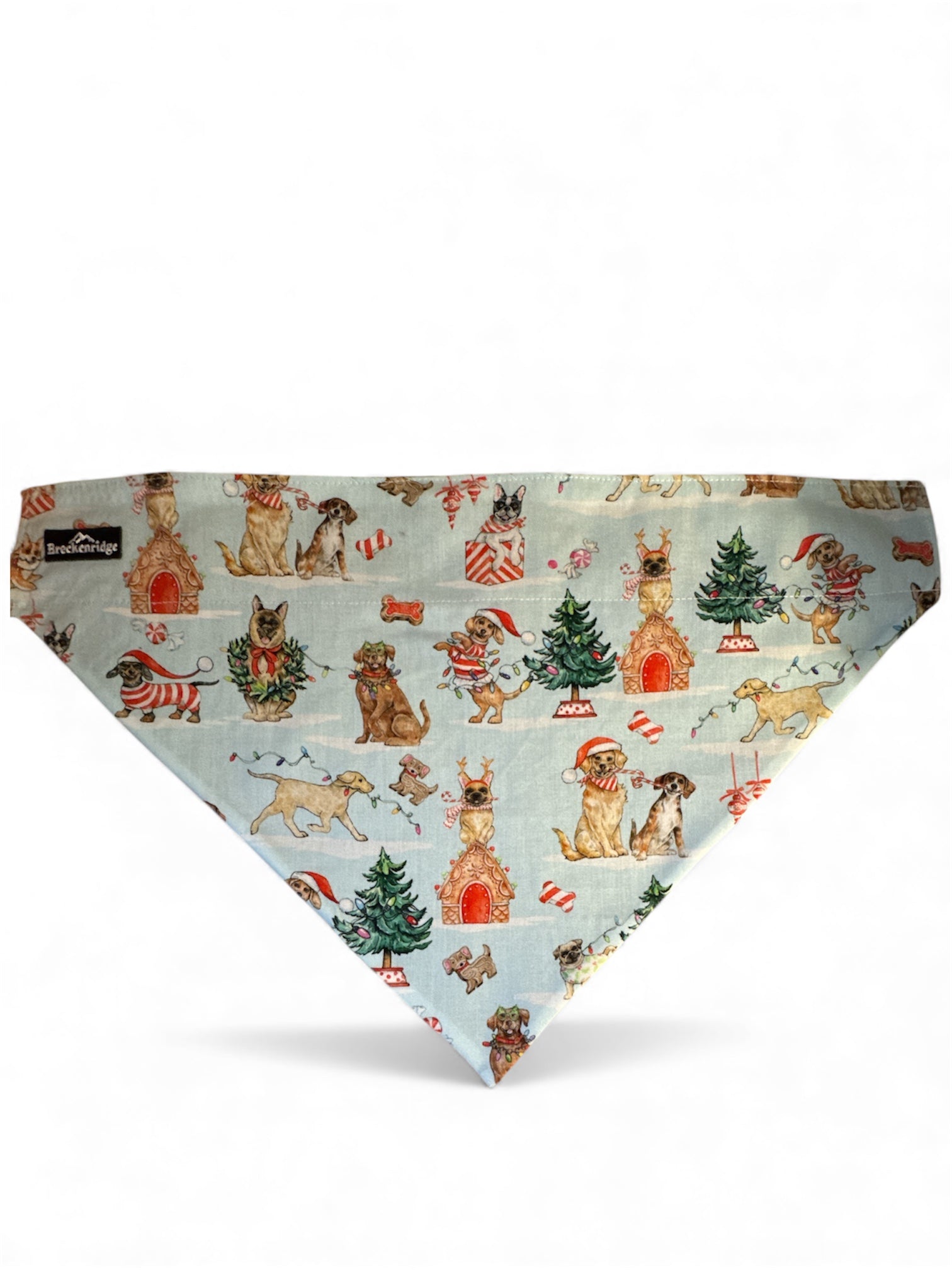 Custom-Slide Bandana