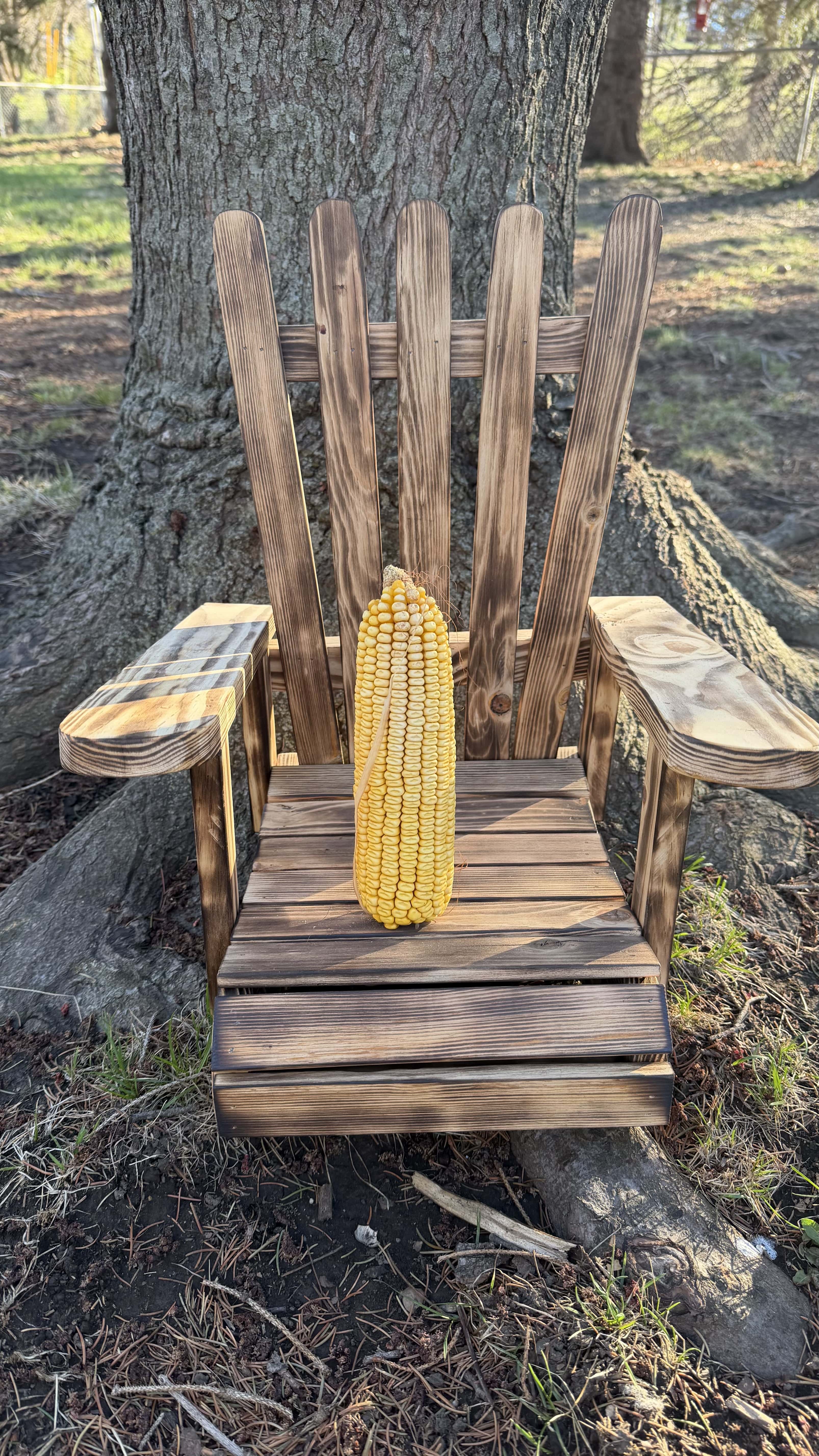 Corn Throne - Squirrel Feeder Chair