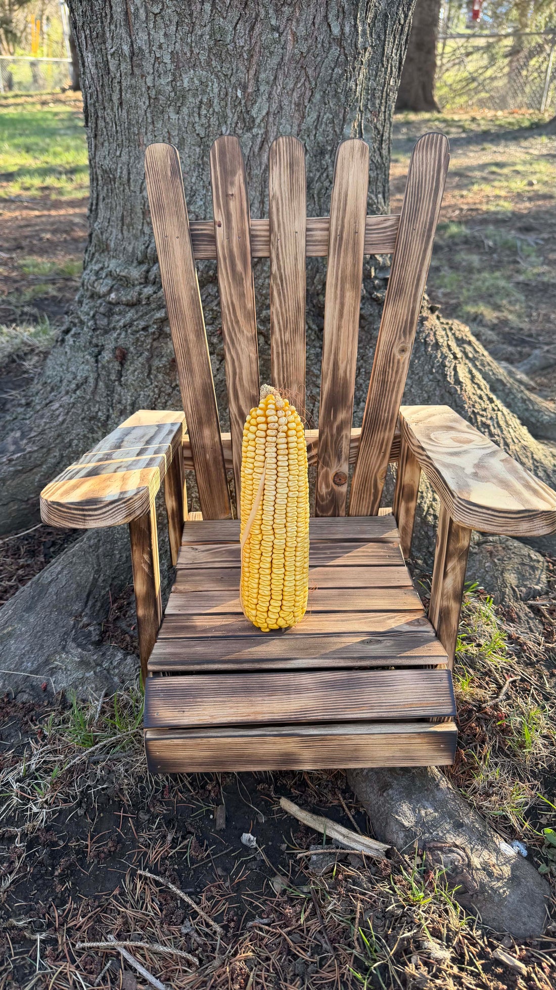 Corn Throne - Squirrel Feeder Chair