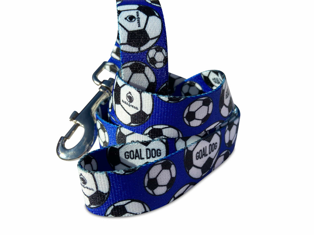 Goal Dog Blue Soccer Leash