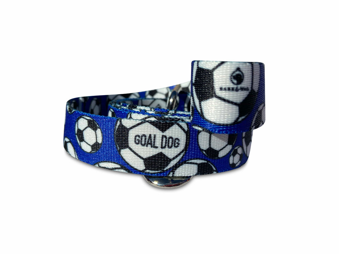 Goal Dog Blue Soccer Leash