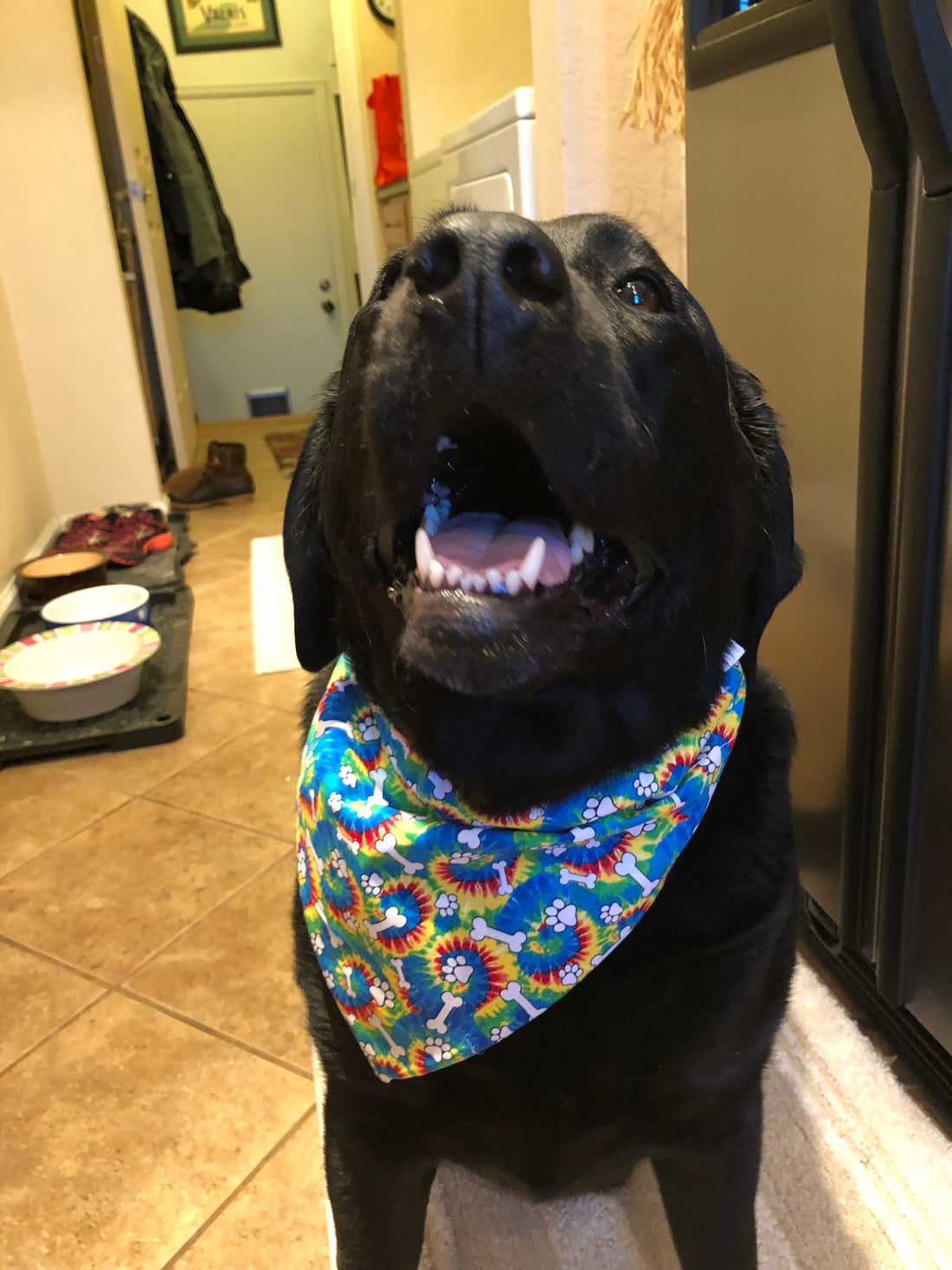 Bandanas