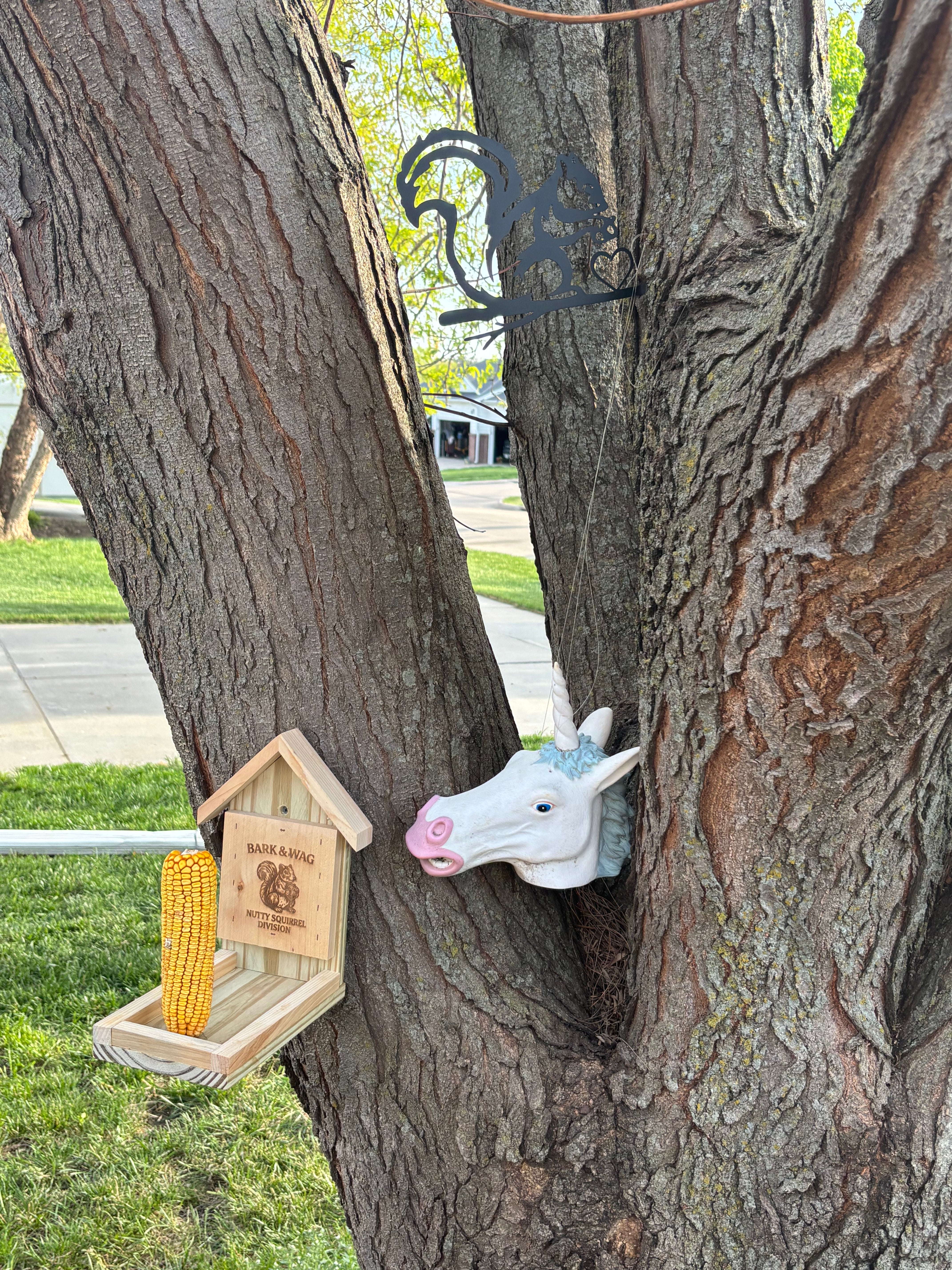 Cob Commander Squirrel Feeder