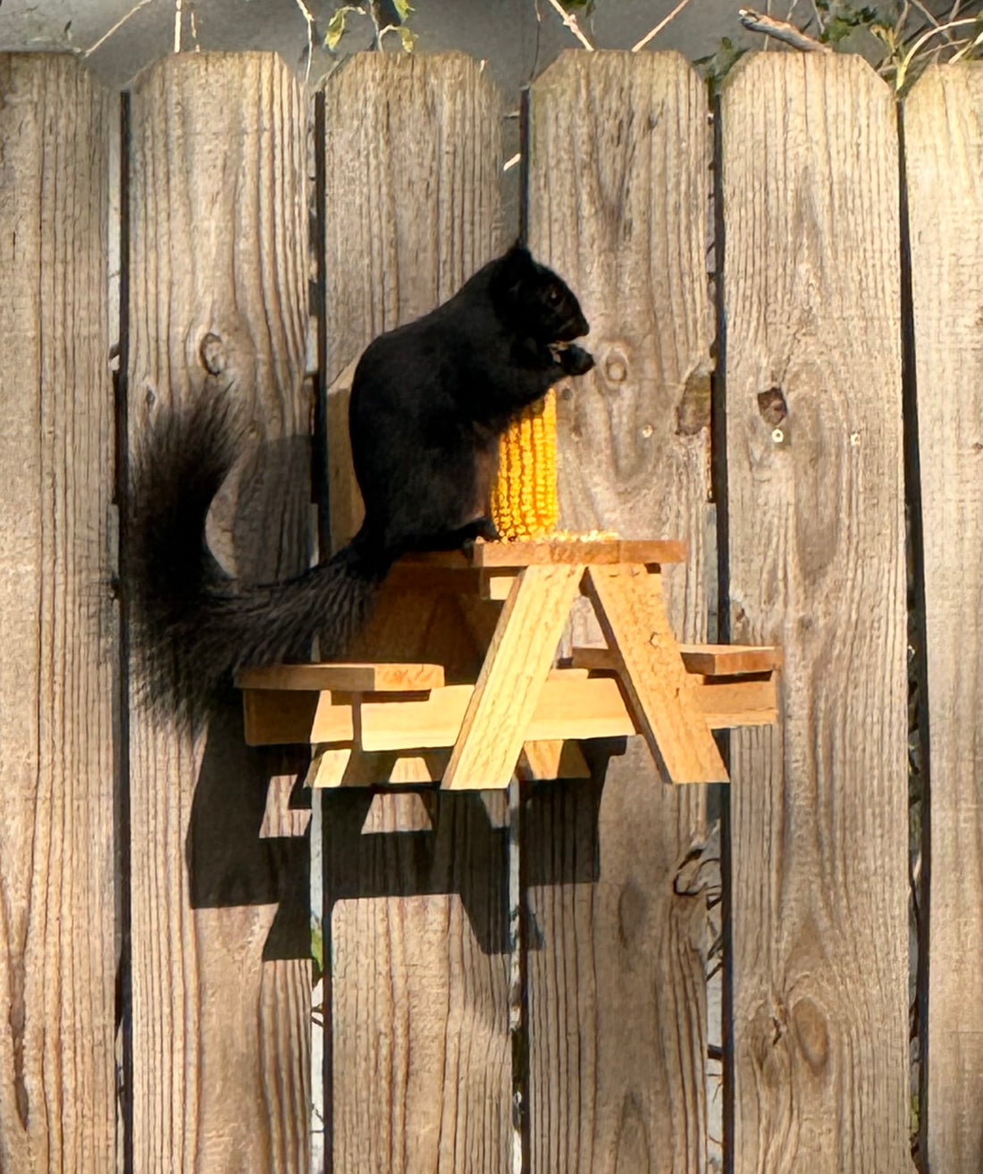 The Squirrel Picnic Table — Squirrel Feeder by Nutty Squirrel Division | Bark & Wag