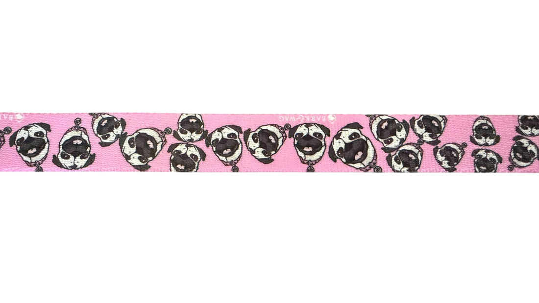 Chuck the Pug Pink Collar