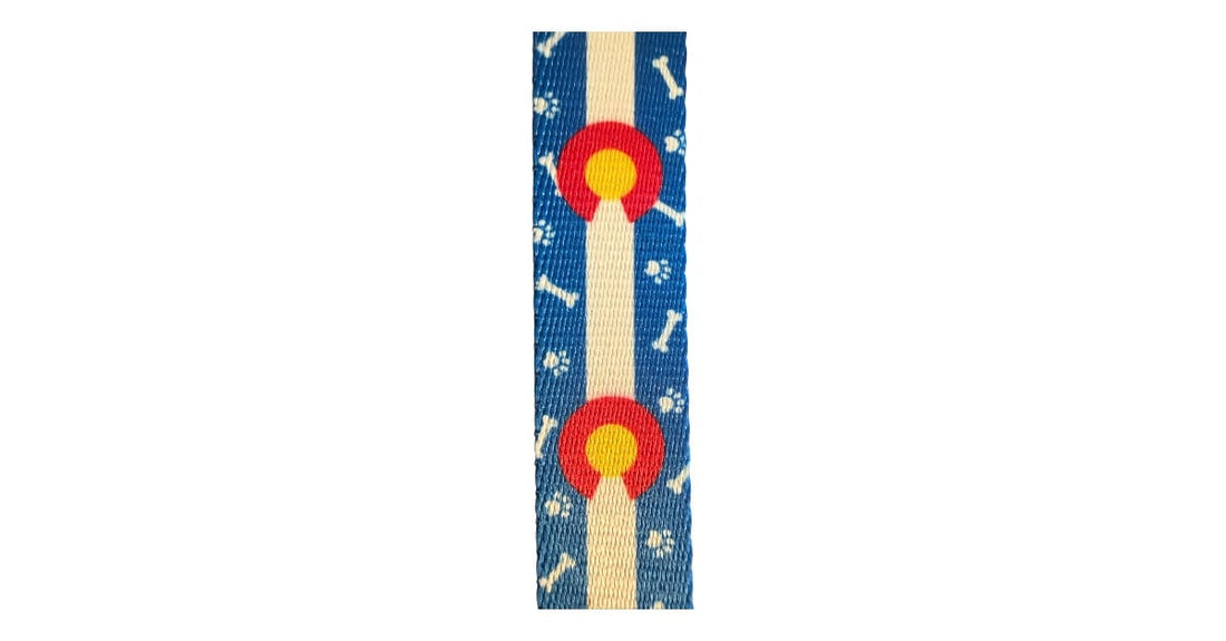 Colorado Paws & Bones in Blue Leash