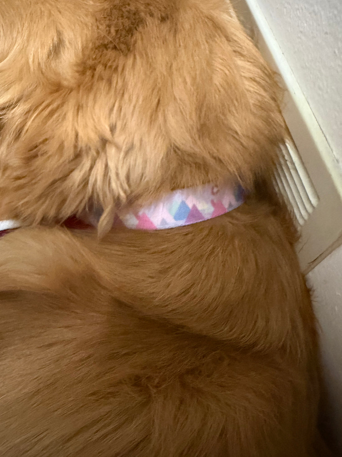 Modern Mountain Pink Collar