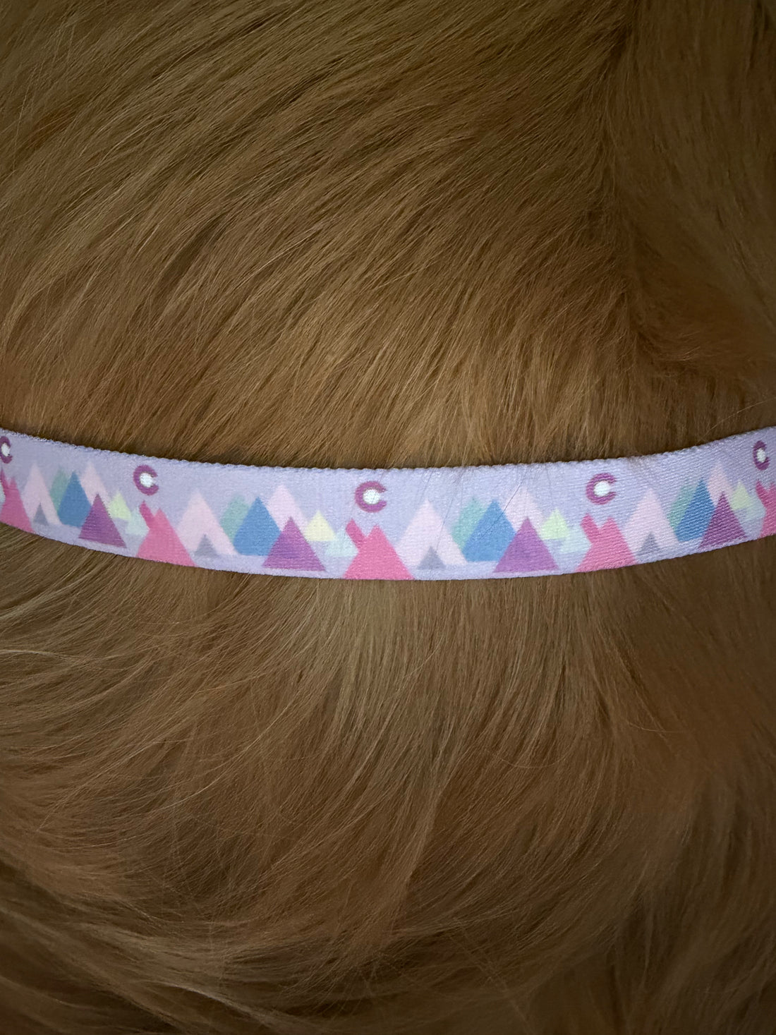Modern Mountain Pink Collar